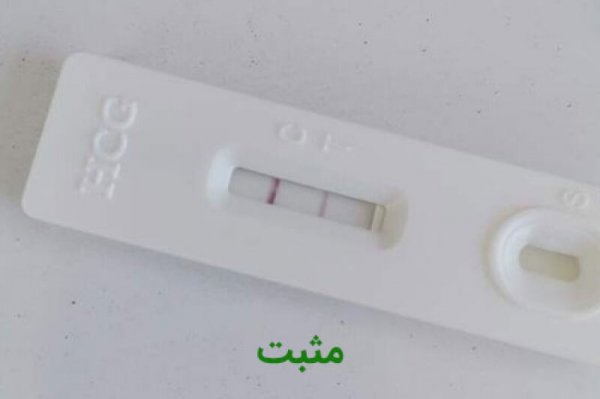  عکس بی بی چک مشکوک
