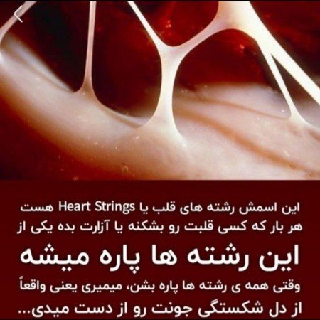  عکس بین الحرمین
