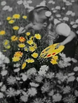  عکس نقاشی