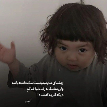 عکس سگ برای پروفایل پسرانه