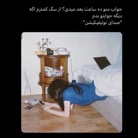  عکس سگ خارجی