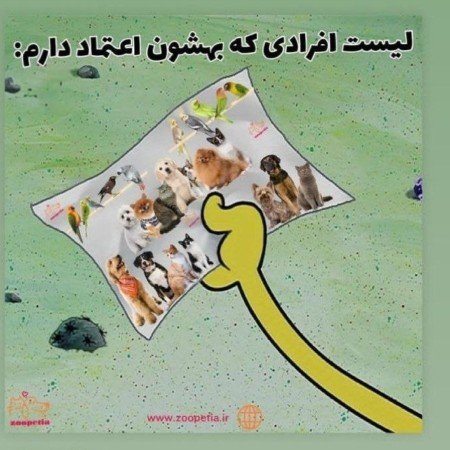  عکس سگ خارجی