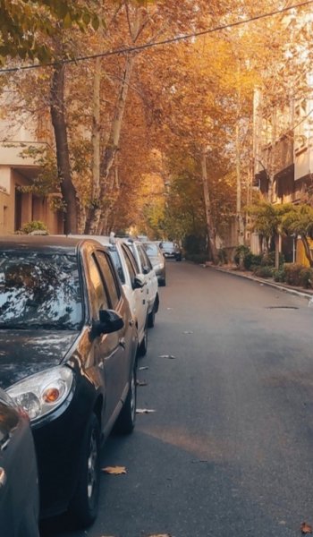  عکس پس زمینه شیک و خاص
