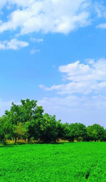  عکس پس زمینه شیک و باکلاس سه بعدی