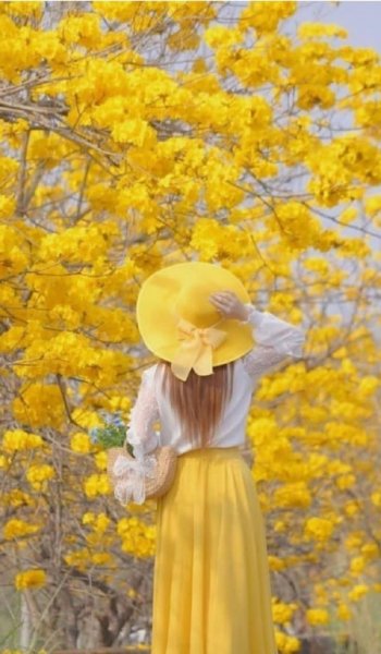  عکس کیوت برای پروفایل