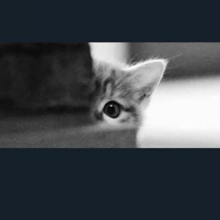  عکس گوگولی