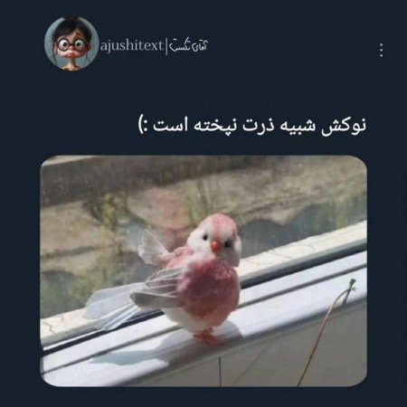  عکس گوگولی