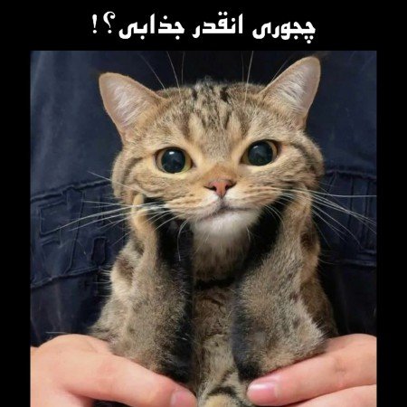  عکس گوگولی برای پروفایل