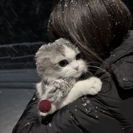  عکس گوگولی برای پروفایل