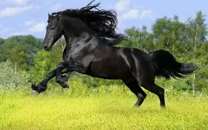  عکس پسر کره ای با ماسک
