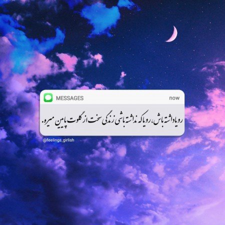  عکس بنفش برای پروفایل