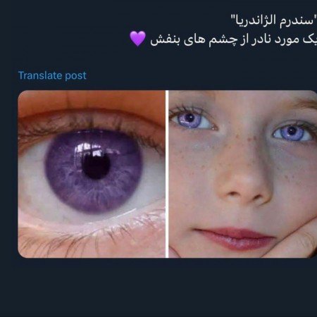  عکس بنفش برای پروفایل