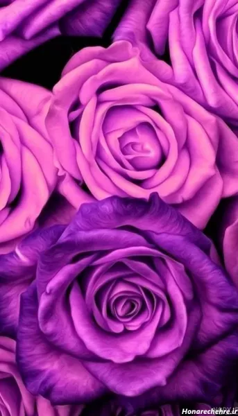  عکس بنفش کیوت ساده