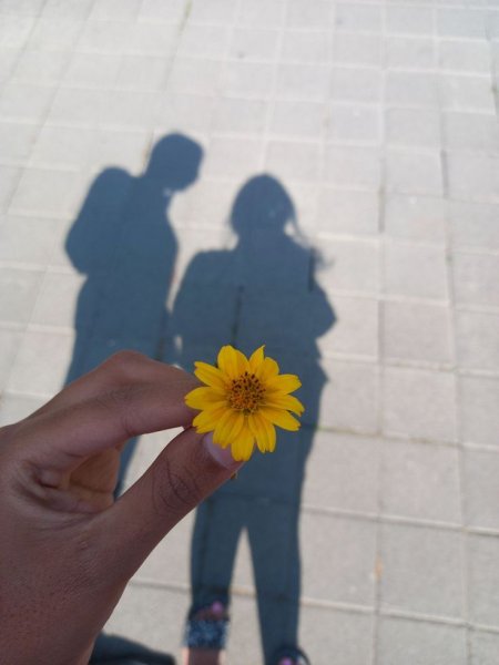  عکس پروفایل پسرانه عاشقانه