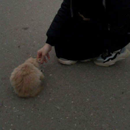  عکس پروفایل کره ای خفن بدون چهره