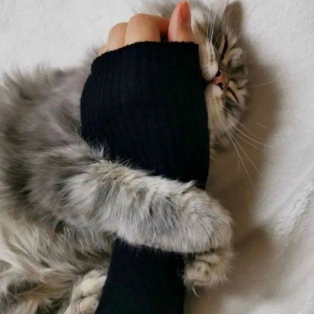  عکس پروفایل کره ای خفن بدون چهره