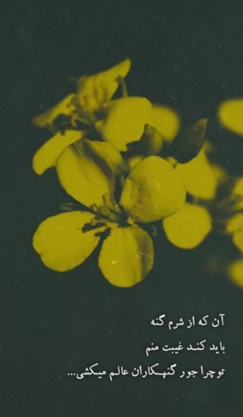  عکس پروفایل الله