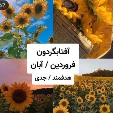  عکس پروفایل استقلال پسرانه خفن