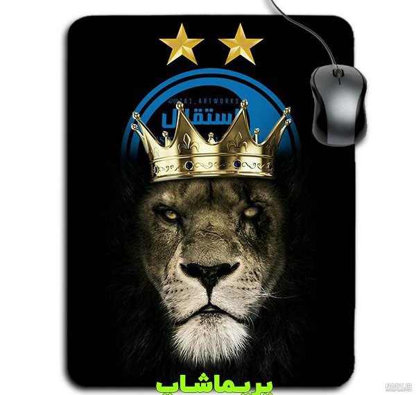  عکس شیر استقلال و پرسپولیس