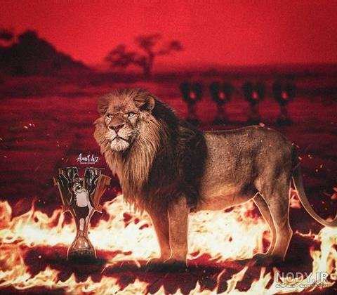 عکس شیر پرسپولیس با تاج