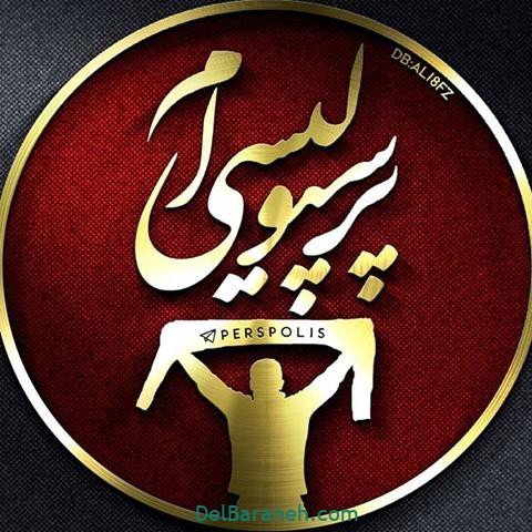  عکس پرسپولیس برای استوری