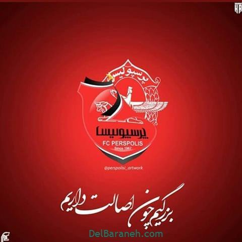  عکس پرسپولیس برای استوری