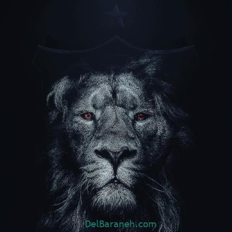  عکس پرسپولیس دو آتیشه
