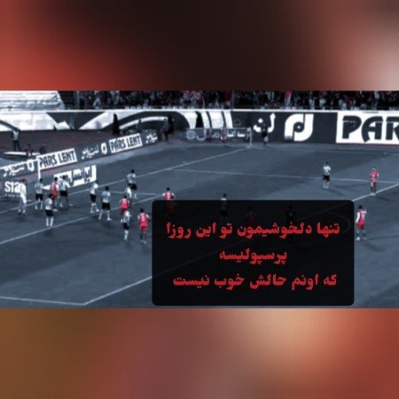  عکس پرسپولیس قهرمان
