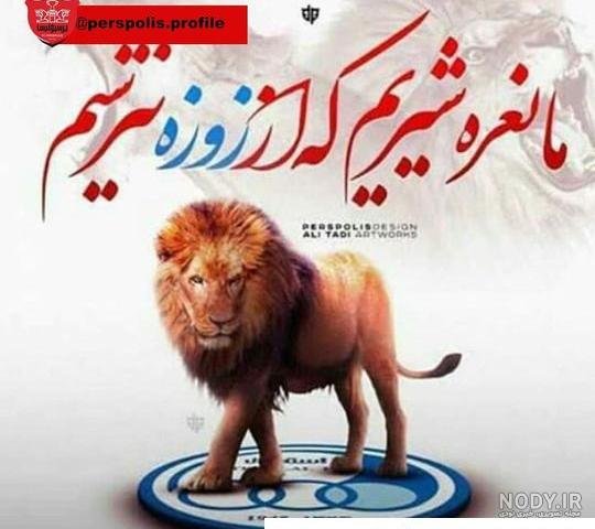  عکس پس زمینه پرسپولیس شیر