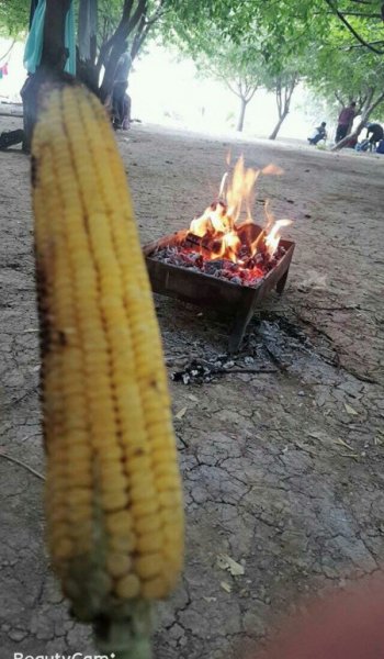 عکس برای استوری