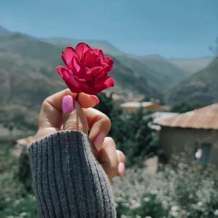  عکس برای استوری