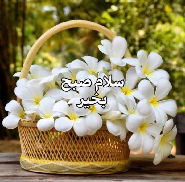  عکس برای استوری اینستا صبح بخیر