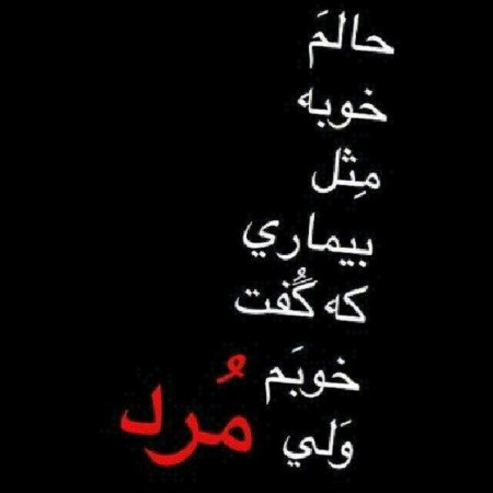  عکس خاص و زیبا