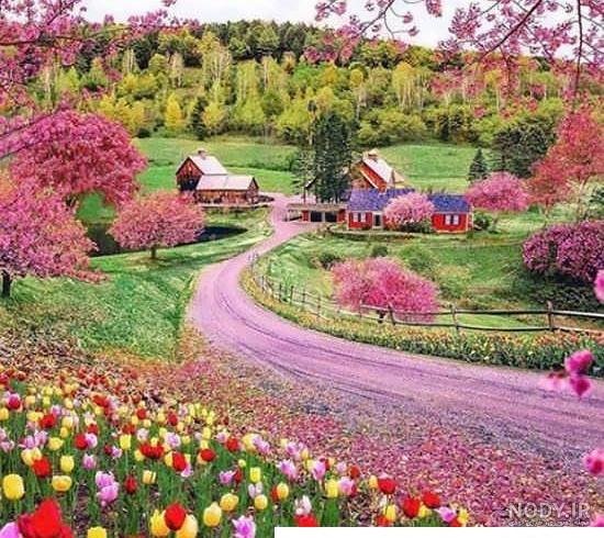  عکس گل و منظره زیبا برای پروفایل