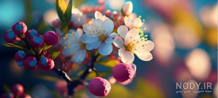  عکس گل و منظره زیبا برای پروفایل
