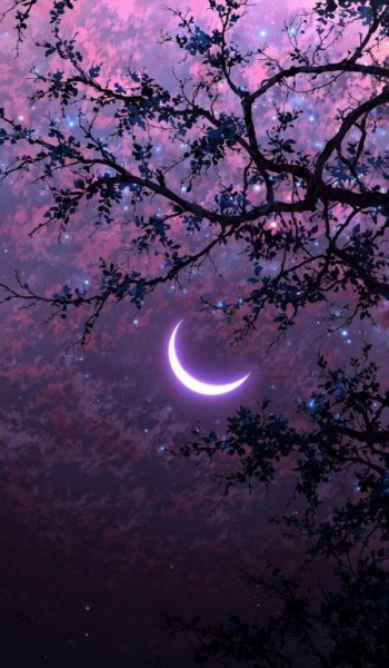  عکس طبیعت واقعی برای پروفایل