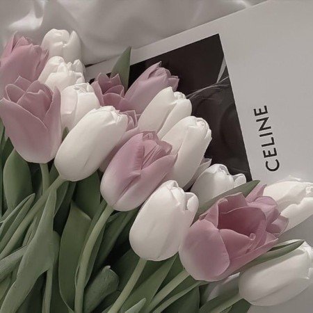  عکس گل های زیبای جهان