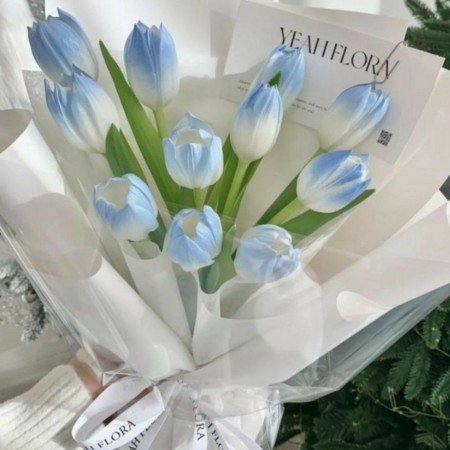  عکس گل های زیبای جهان