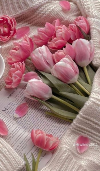  عکس گل های زیبای جهان