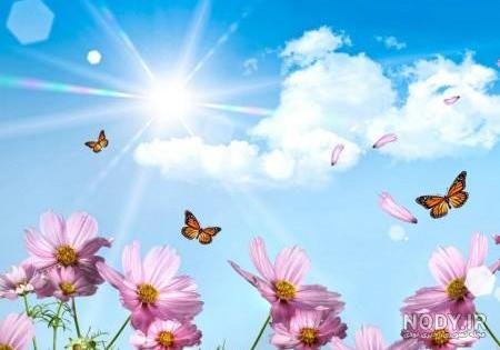  عکس گل و بلبل برای پروفایل