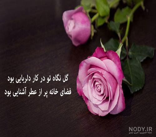  عکس گل و بلبل برای پروفایل
