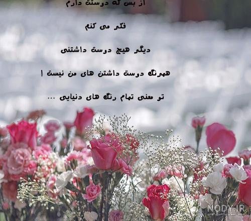  عکس گل و بلبل برای پروفایل