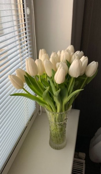  عکس زیباترین گل جهان واقعی