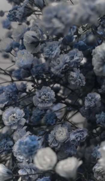  عکس زیباترین گل جهان واقعی