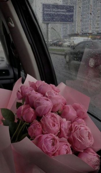  عکس زیباترین گل جهان واقعی