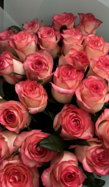 عکس گل طبیعی برای پروفایل