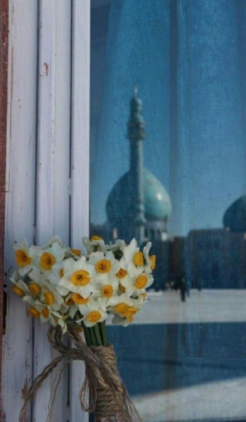  عکس گل طبیعی برای پروفایل