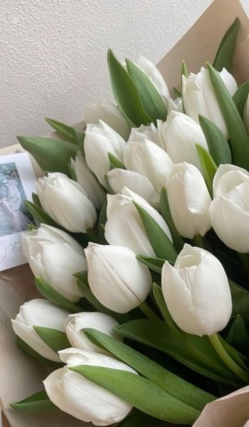 عکس گل طبیعی برای پروفایل