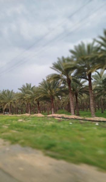 عکس طبیعت واقعی برای استوری