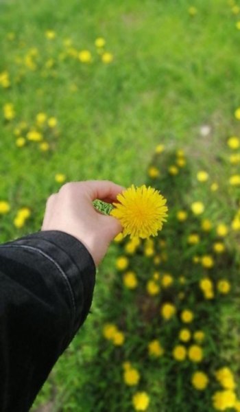 عکس طبیعت واقعی برای استوری